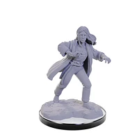 Nolzur's Marvelous Unpainted Miniatures - Reborn Paladin/Warlock*