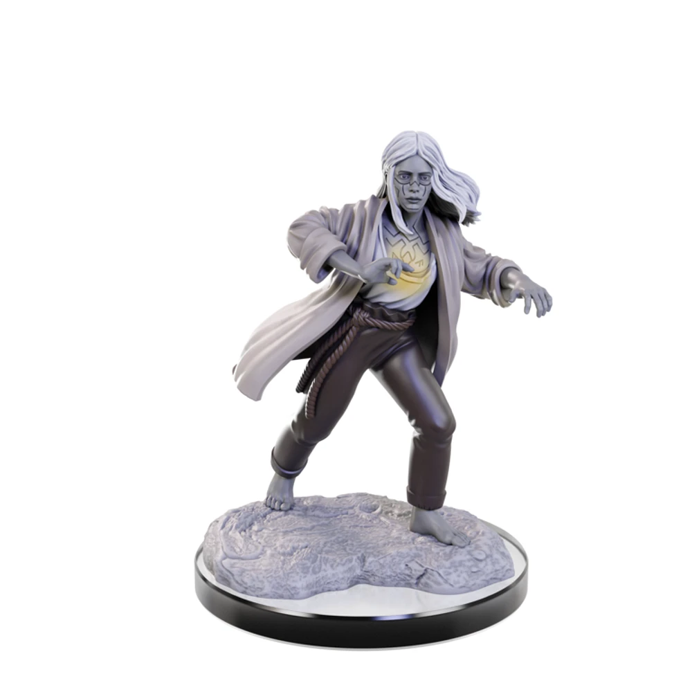 Nolzur's Marvelous Unpainted Miniatures - Reborn Paladin/Warlock*