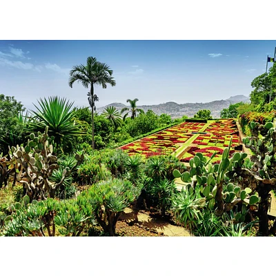 Botanical Garden, Madeira - 1000 pièces