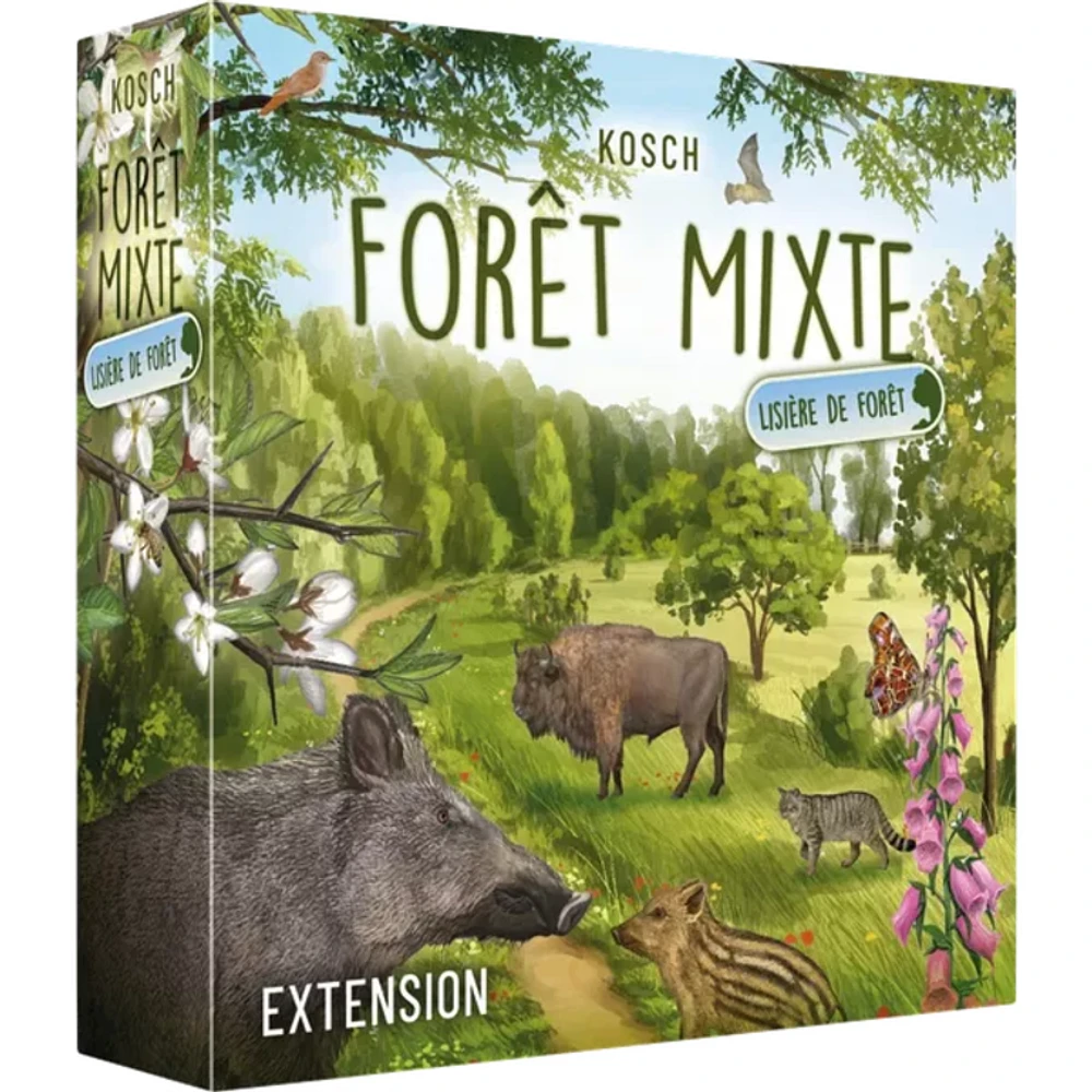 Forêt mixte - Lisière de forêt (Français)