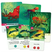 Kelp (Français)