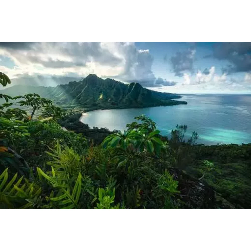 Hawaiian Viewpoint - 5000 pièces