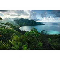 Hawaiian Viewpoint - 5000 pièces