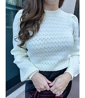 PUFF POINTELLE SWEATER