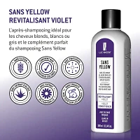 LUC VINCENT - SANS YELLOW Revitalisant Violet 300ml (10.14 oz)