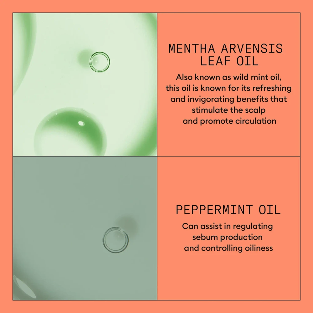 NIOXIN - SYSTÈME | 4 Cheveux Colorés - Chute Avancée | Revitalisant