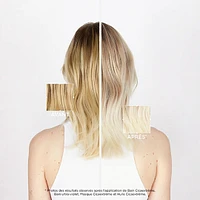 Blond Absolu | Routine Neutralisante