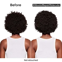 Serie Expert | Absolut Repair Molecular | ***Routine Réparation