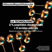 Serie Expert | Absolut Repair Molecular | Masque Sans Rinçage 100ml (3.4 oz)