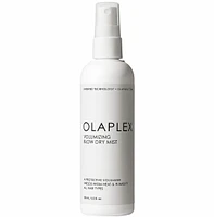 Brumisateur de Séchage Volumisant 150ml (5.0 oz)