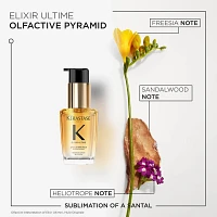 Elixir Ultime | 2025 Spring Kit | Hydrating Duo for Dull Hair