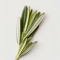 Conditioning Mist |  Spray Démêlant 355 ml