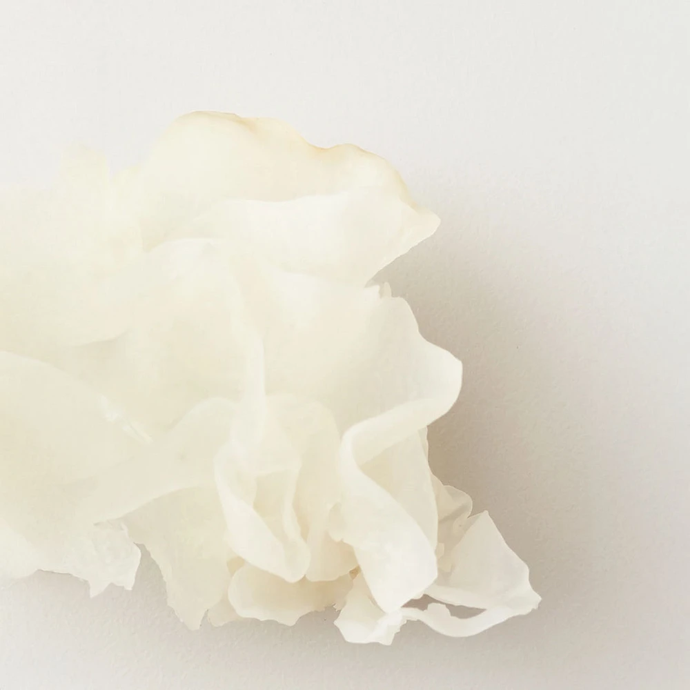 Nourish | Masque Hydratant aux Champignons des Neiges 148 ml