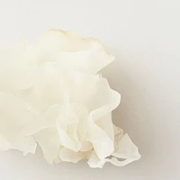 Nourish | Masque Hydratant aux Champignons des Neiges 148 ml