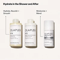 N°5 Leave-In | Moisturize & Mend Conditioner (100ml/3.3oz)
