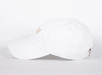 WLKN WLKN : Colored Dad Hat