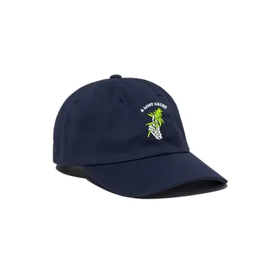 A Lost Cause : All I Weed V2 Dad Cap