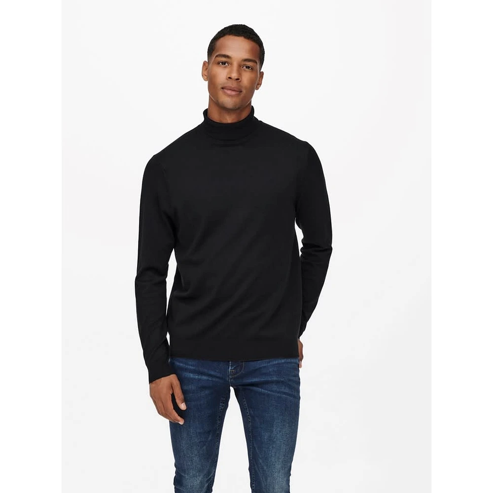 Only & Sons : Regular Knit Rollneck