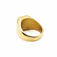 HITS : Warrior Ring