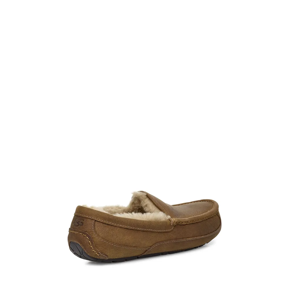 UGG 1103889 Ascot