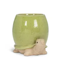 Abbott Tall Green Turtle Planter - 5"H