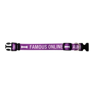 About Face Designs Famous Online Dog Collar