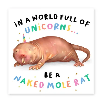 Central 23 Be A Naked Mole Rat Funny Birthday Card