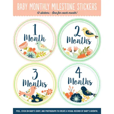 Peter Pauper Press Baby's Monthly Milestone Sticker's