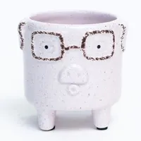 Footed Pig With Glasses Dolomite Pot (Fits 4" Pot)