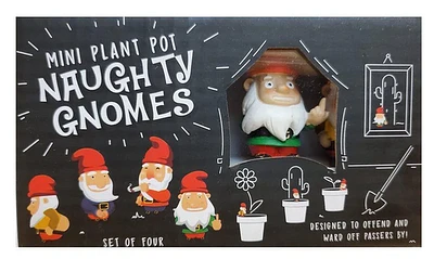 Mini Plant Pot Naughtly Gnomes