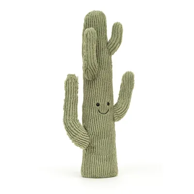 Amuseable Desert Cactus