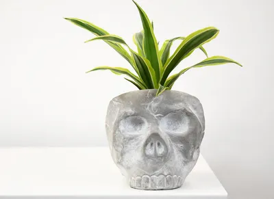 Reaper Skull Head Pot