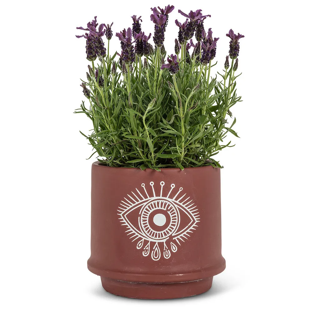 Lg Eye Planter-7"D