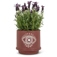 Lg Eye Planter-7"D