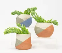 Serene Planter