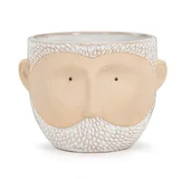 Sm White Bearded Man Planter 3.5"