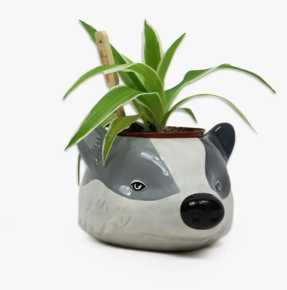 Plant Pot - Harry Potter (Hufflepuff)