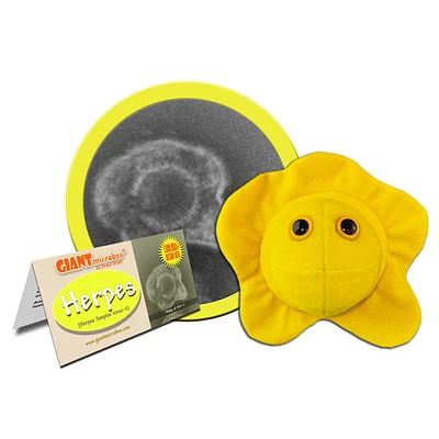 GIANT Microbes - Herpes (Herpes Simplex Virus 2)