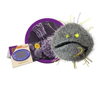 GIANT microbes - Bladder Cancer