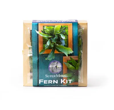 Supermoss Staghorn Fern Kit 14"x14"