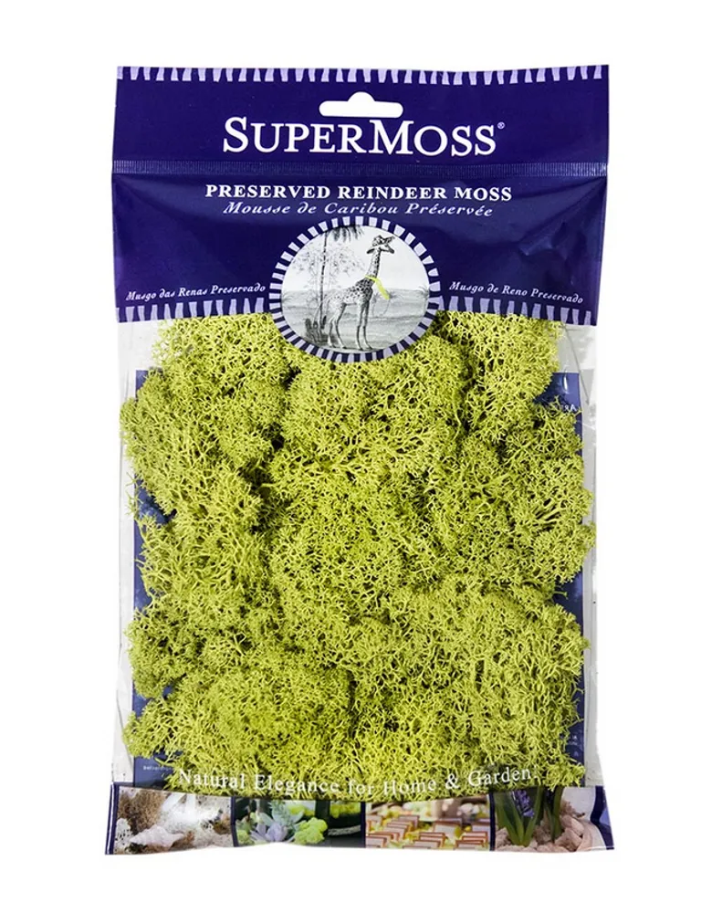 Supermoss Reindeer Moss Charteuse