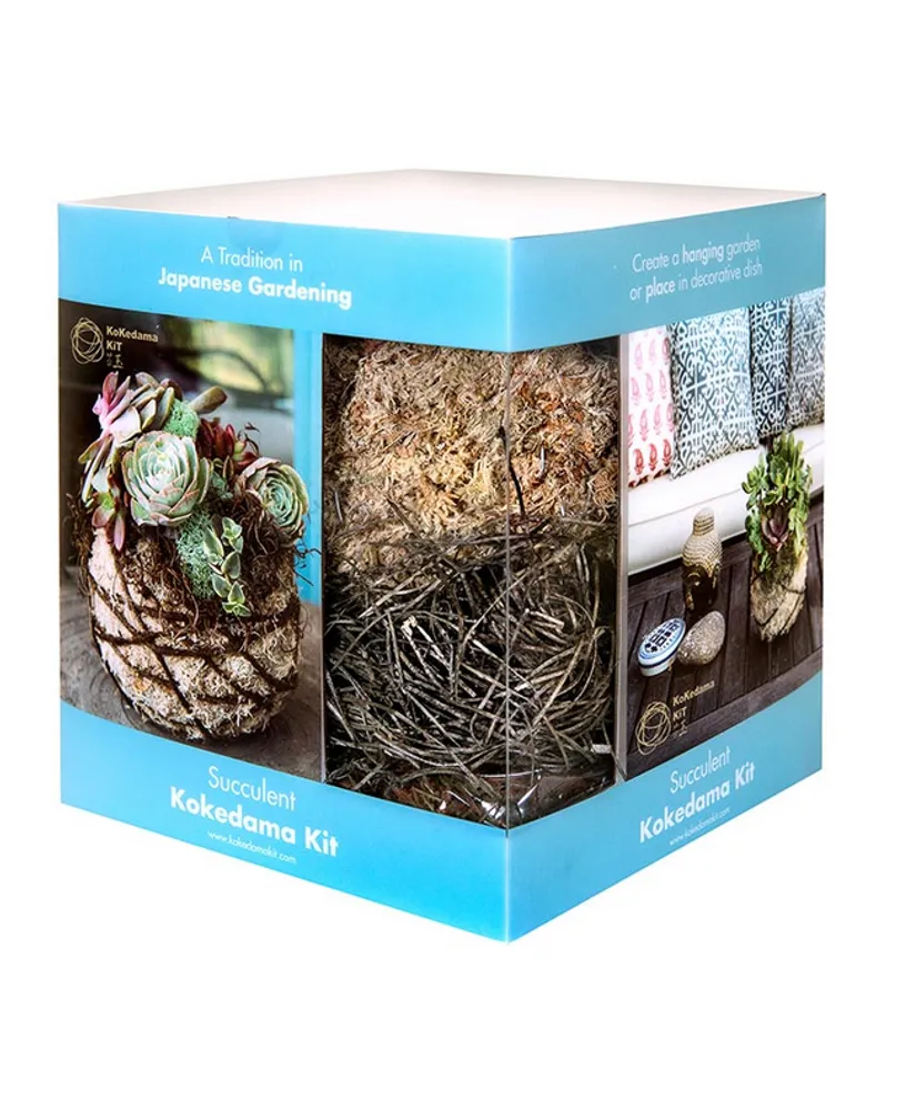 Supermoss Succulent Kokedama Kit 6"