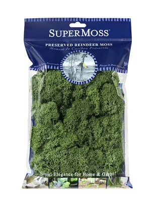 Supermoss Reindeer Moss Basil