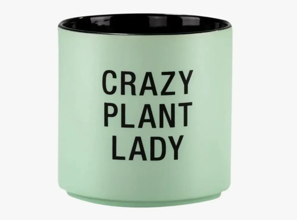 About Face Designs Crazy Plant Lady Large Planter