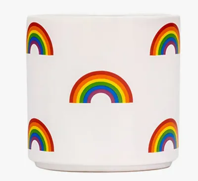 About Face Designs Rainbow Icon Planter