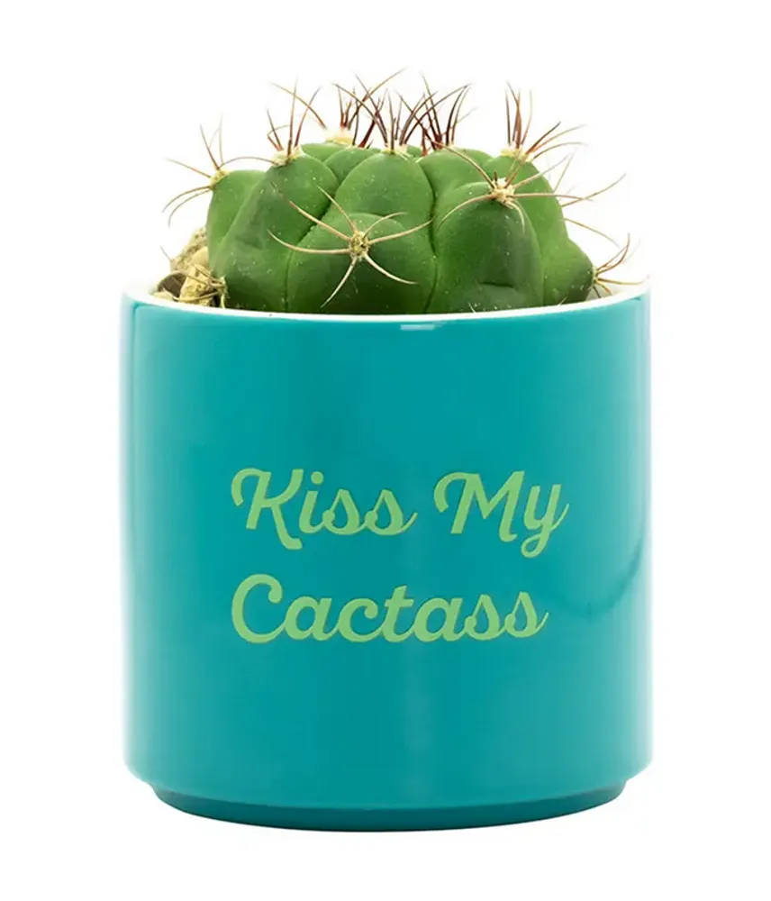 Kiss My Cactass Planter