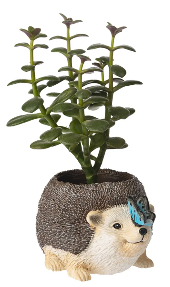 Ganz Hedgehog Planter