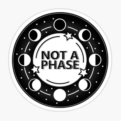 Redbubble Not a Phase Sticker