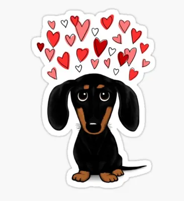 Redbubble Black and Tan Wiener Dog Sticker