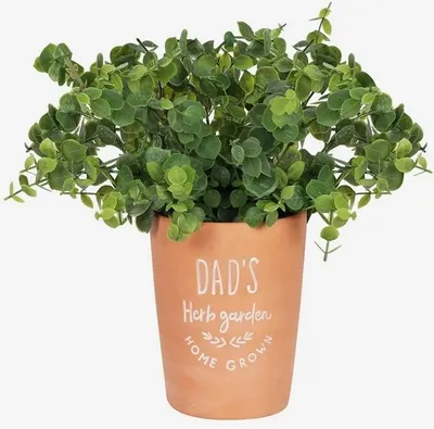 Dads Garden Terracotta Pot